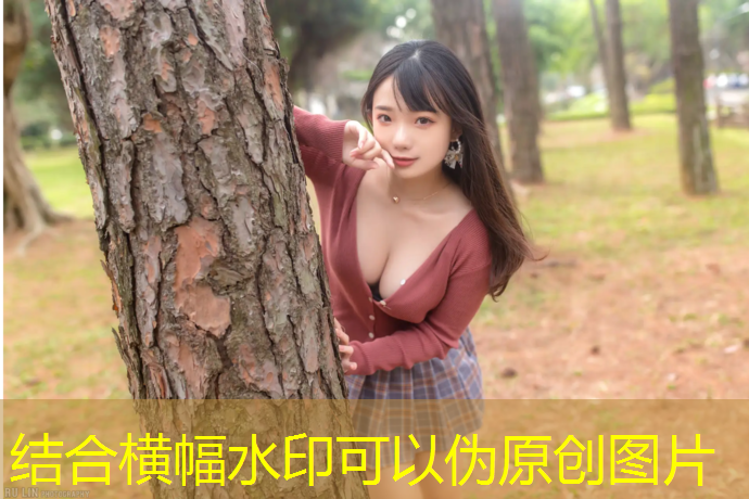 室内健身器材那个好