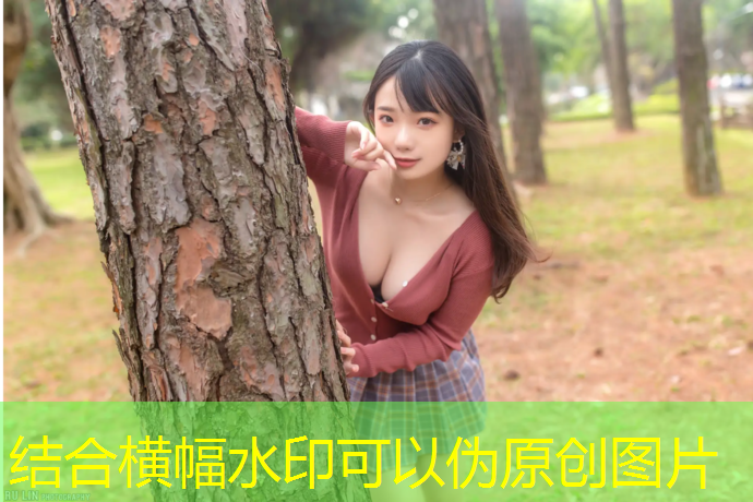 乒乓球台内滚球