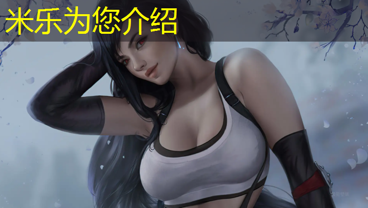 米乐：龙岗全系列塑胶跑道