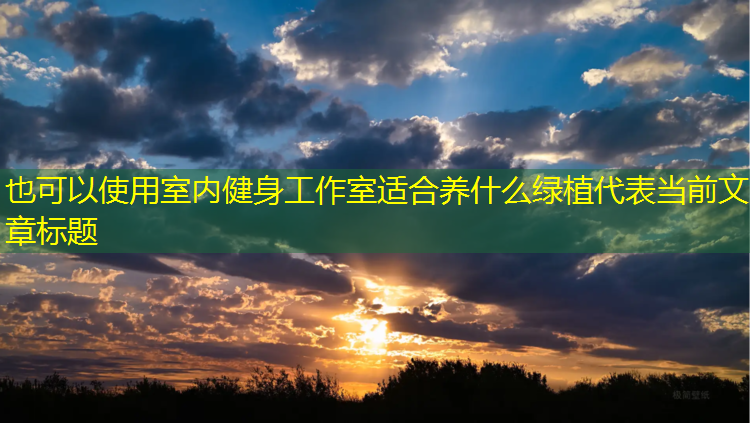 室内健身工作室适合养什么绿植